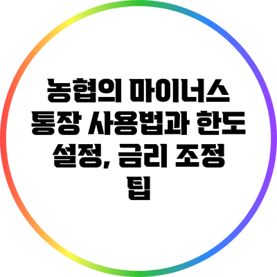 농협의 마이너스 통장 사용법과 한도 설정, 금리 조정 팁