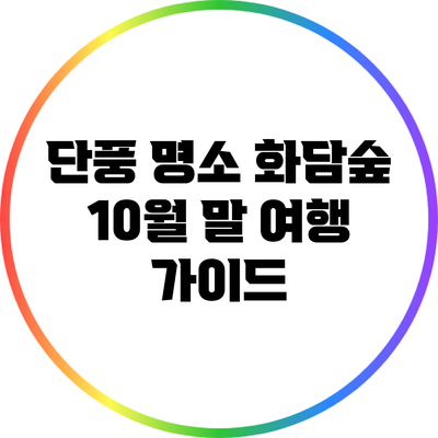 단풍 명소 화담숲: 10월 말 여행 가이드