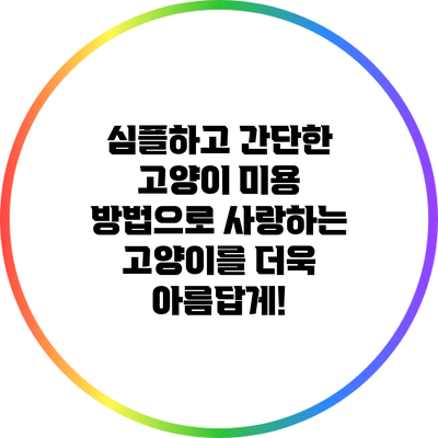 심플하고 간단한 고양이 미용 방법으로 사랑하는 고양이를 더욱 아름답게!