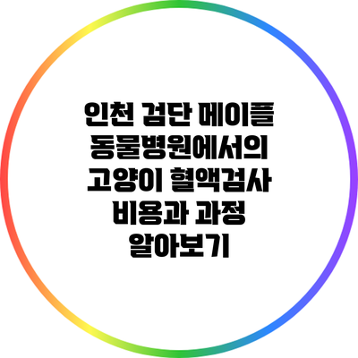 인천 검단 메이플 동물병원에서의 고양이 혈액검사: 비용과 과정 알아보기