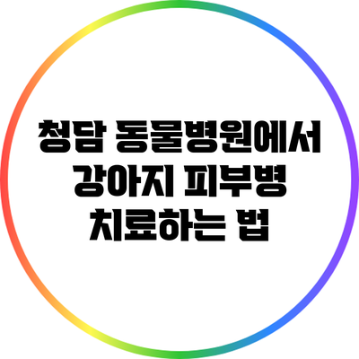 청담 동물병원에서 강아지 피부병 치료하는 법