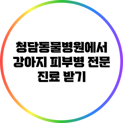 청담동물병원에서 강아지 피부병 전문 진료 받기