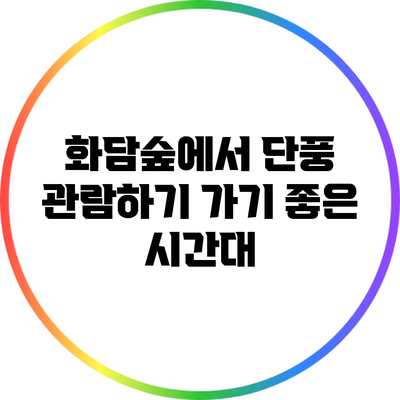 화담숲에서 단풍 관람하기 가기 좋은 시간대