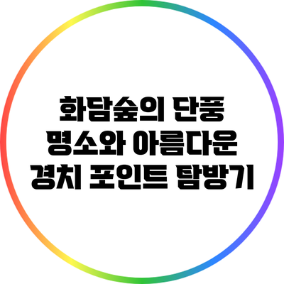 화담숲의 단풍 명소와 아름다운 경치 포인트 탐방기
