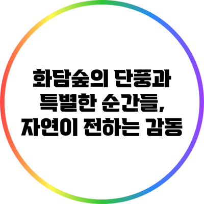 화담숲의 단풍과 특별한 순간들, 자연이 전하는 감동