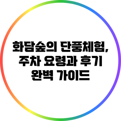 화담숲의 단풍체험, 주차 요령과 후기 완벽 가이드
