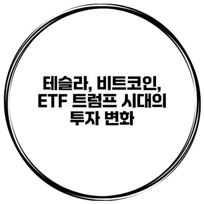 테슬라, 비트코인, ETF 트럼프 시대의 투자 변화