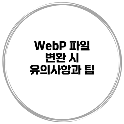 WebP 파일 변환 시 유의사항과 팁
